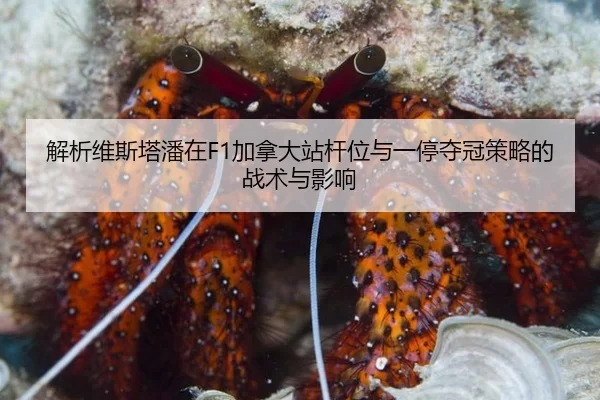 jie-xi-wei-si-ta-pan-zai-jia-na-da-zhan-gan-wei-yu-yi-ting-duo-guan-ce-lve-de-zhan-shu-yu-ying-xiang-2-971.jpg