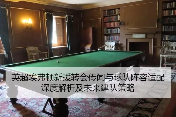 英超埃弗顿新援转会传闻与球队阵容适配深度解析及未来建队策略